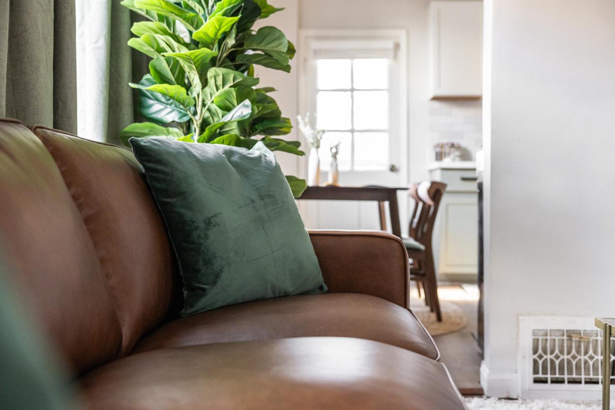 Mid-Century Modern Retreat In Little Italy Appartement Cleveland Buitenkant foto